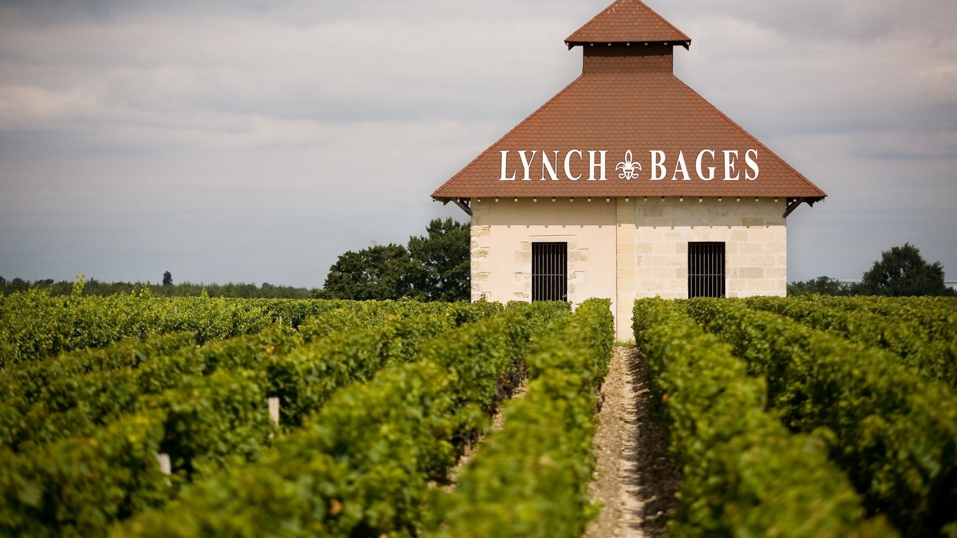 "Une famille, un vin et 52 recettes" 
